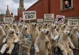 "Першопричина "СВО"