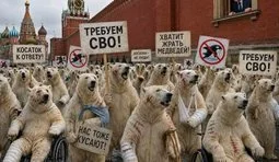 "Першопричина "СВО"