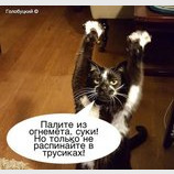 Солсберская Хатынь