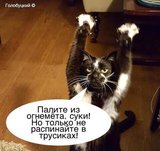 Солсберская Хатынь