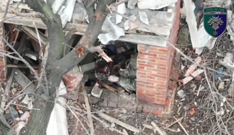 Occupier met his death in latrine. VIDEO
