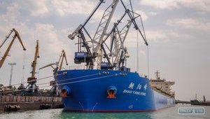Кому принадлежат крупнейшие портовые операторы
