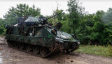 bradley,бредлі