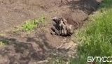 росіянин,хороший