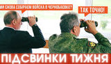 підсвинки