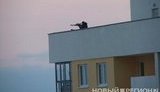 Снайперы Медведева на крышах: Дула ружей были направлены на людей. ФОТОрепортаж
