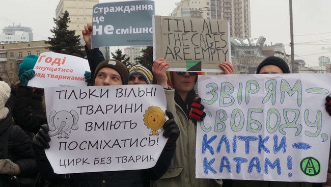 Страждання - це НЕ смішно! У Києві протестували проти використання тварин у цирку 29