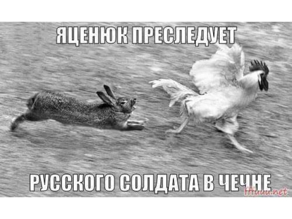 Зверства Кровавого Кроля. Реакция ФОТОжаберов на абсурдные обвинения Яценюка следкомом РФ 14
