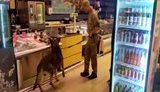 Бомбу в харьковском ТРЦ не нашли, - полиция. ВИДЕО+ФОТОрепортаж