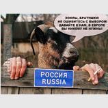 Голос из-за поребрика
