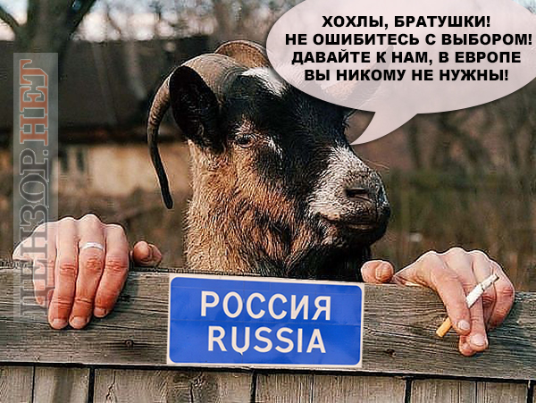 Думай, чим думати! Свіжі ФОТОжаби від Цензор.НЕТ 02