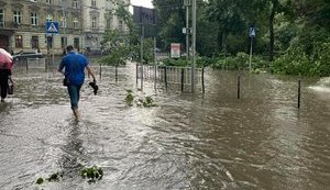 Электротранспорт во Львове не будет работать до конца дня, - мэрия