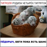 Беги, пока есть шанс!