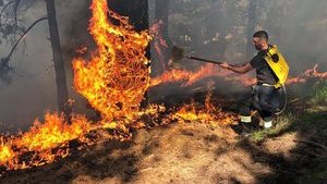 На помощь в тушении пожаров в Греции отправятся 100 спасателей, - Зеленский