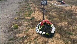 парк,херсон,бузковий