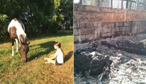 "Коней за що?!", - у Гостомелі окупанти спалили стайню. ФОТО