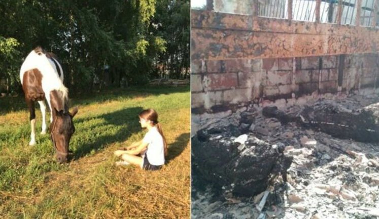 "Коней за що?!", - у Гостомелі окупанти спалили стайню. ФОТО