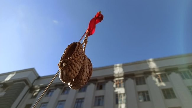 Полізеш до мови - отримаєш на горіхи: активісти пікетують ВР на знак протесту проти змін до закону про державну мову 22