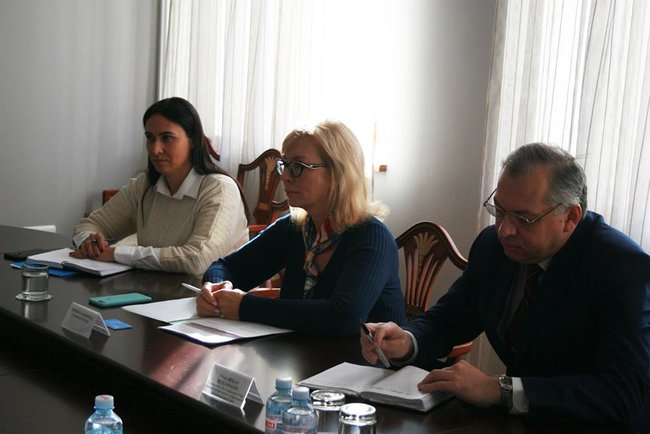 Задержанным в оккупированном Крыму не предоставляют надлежащей медпомощи, - Денисова на встрече с докладчиками ПАСЕ 06