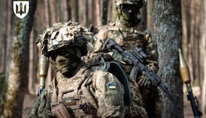 Сопровождение иностранных добровольцев