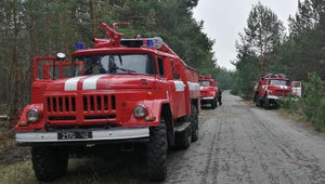 Кабмін виділив 90 млн грн на запобігання пожежам у зоні відчуження