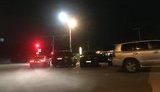 Локдаун - не для всех: Парковки ресторанов в Конча-Заспе в пределах "красного" Киева заполнены автомобилями. ФОТОрепортаж
