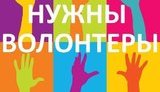 волонтеры