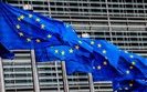EU considers Constitutional Court's decision as basis for suspension of visa-free travel