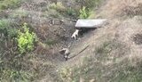 собака їсть рештки окупанта