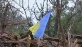 рпрпр