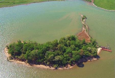 Цензор.НЕТ Изображение