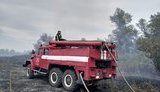 На Луганщині ліквідовано лісову пожежу біля трьох населених пунктів, - ДСНС