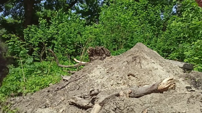 Ні - руйнуванню історичного Києва!: активісти протестують проти забудови маєтку 19 століття в центрі столиці 28