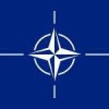 Владимир Карбон