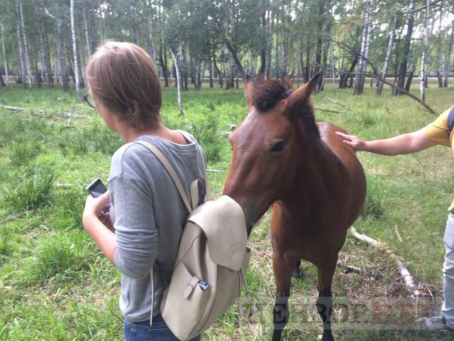 Цензор.НЕТ Изображение