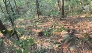 Розвідка Третьої штурмової бригади зачистила "джунглі" у Луганській області. ВIДЕО