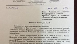Денисова попросила Красный Крест посетить объявивших голодовку украинских политзаключенных Кремля. ДОКУМЕНТ