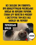 Бурхлива реакція