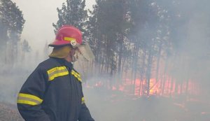 В ГСЧС объяснили длительное тушение пожаров на Житомирщине: захламленность лесных массивов и отсутствие дорог