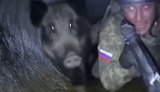 Видео, на котором испуганный кабаном российский военный ползет в газовой трубе под Купянском