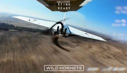 Пілоти Сил оборони збили російський БпЛА Гербера перехоплювачем STING