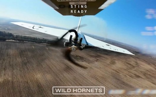 Дрон-перехоплювач STING 1020-го полку збив російський БпЛА "Гербера" прямим влучанням у гвинт. ВIДЕО