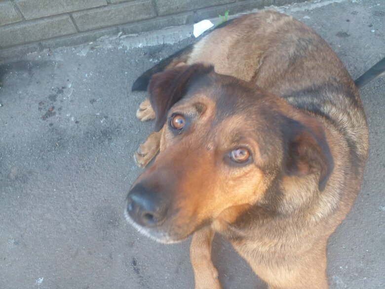 Мінометник Ілля Кононов: Мені 22, за спиною у мене - лише військова кафедра, деякі вишколи - та й усе, і тут треба вести людей у бій 08