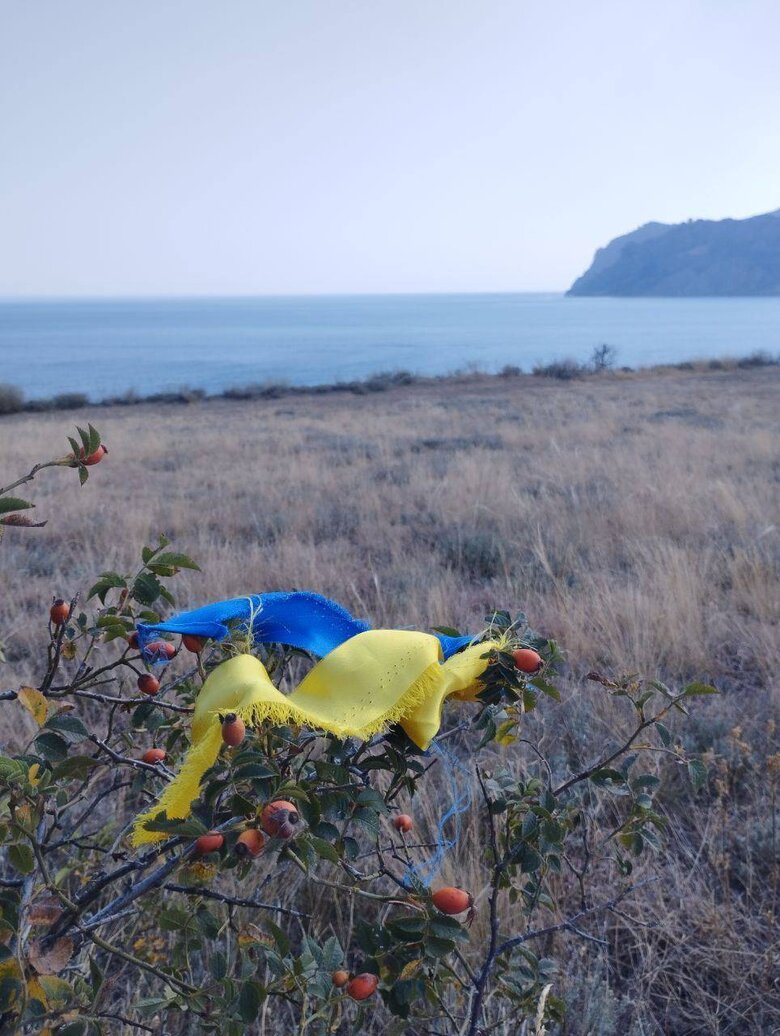 Желтая Лента провела акцию во временно оккупированном Крыму: К движению за неделю присоединились 50 активистов 03