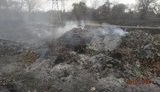 Мэр Донецка устроил газовую атаку горожанам? ФОТОрепортаж