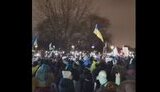 берлін,мітинг