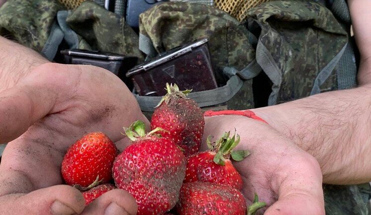 В Херсонской области оккупанты пытаются наняться к местным жителям на сбор клубники, - ОК "Південь". ФОТО