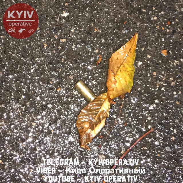 У київському парку сталася стрілянина: є поранені 01