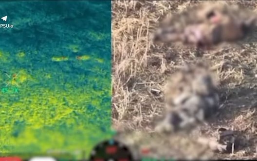 Бійці бригади "Сталевий кордон" розбили 2 штурмові групи рашистів та знищили гармати "Гіацинт-Б". ВIДЕО