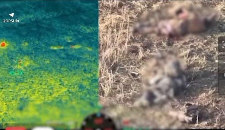 Бойцы бригады "Сталевий кордон" разгромили 2 штурмовые группы рашистов и уничтожили орудия "Гиацинт-Б". ВИДЕО